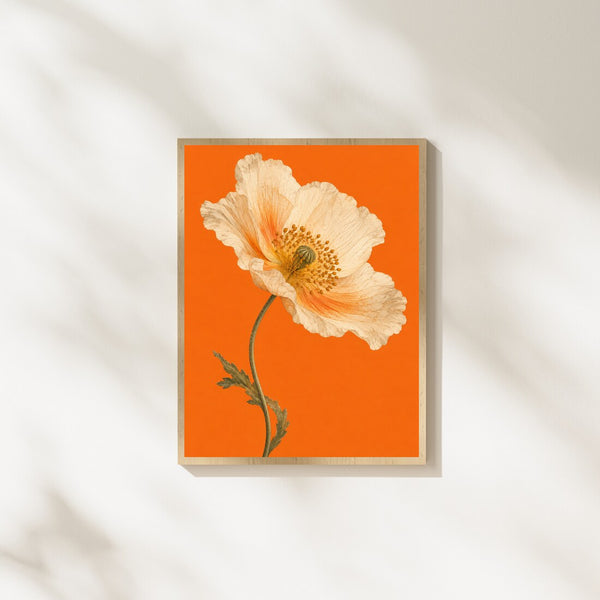 Mohnblüte – Botanisches Poster in Orange & Creme