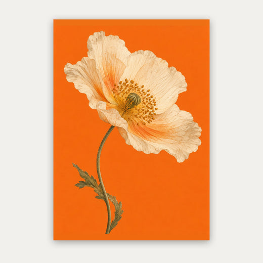 Mohnblüte – Botanisches Poster in Orange & Creme
