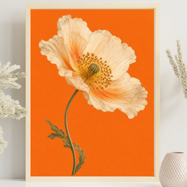 Mohnblüte – Botanisches Poster in Orange & Creme