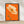 Mohnblüte – Botanisches Poster in Orange & Creme