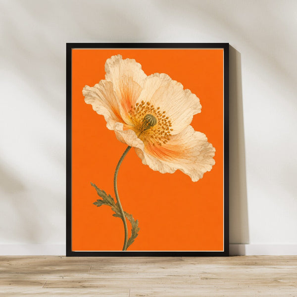 Mohnblüte – Botanisches Poster in Orange & Creme